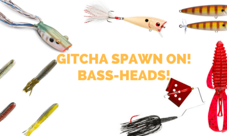 "bass fishing spawn baits"