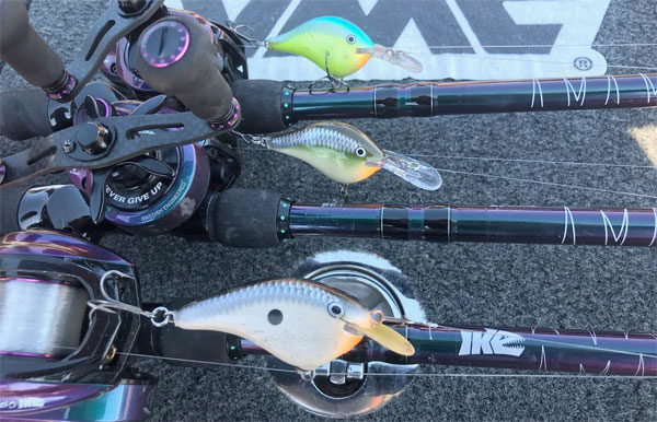 ALL the 2019 TN River Classic baits! – BassBlaster