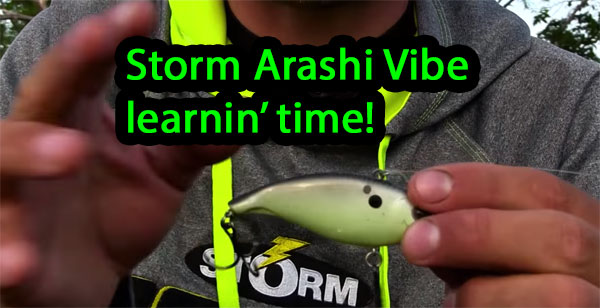 Learnin' 'bout the Storm Arashi Vibe – BassBlaster
