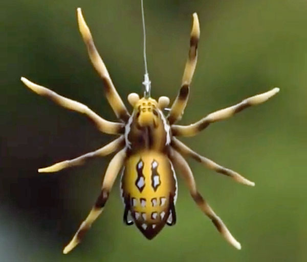 lunkerhunt spider – BassBlaster
