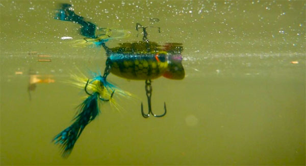 Smallmouth Bass Fly Fishing Flies