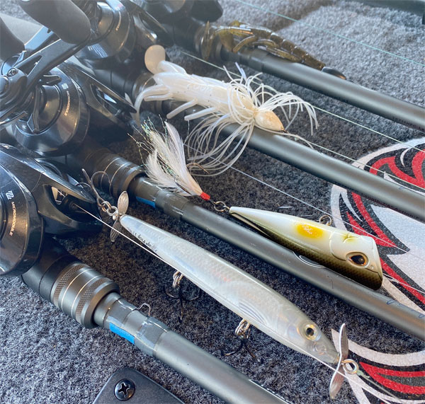 Randall Tharp's baits now, Weedless Texas wacky rig! Do frogs