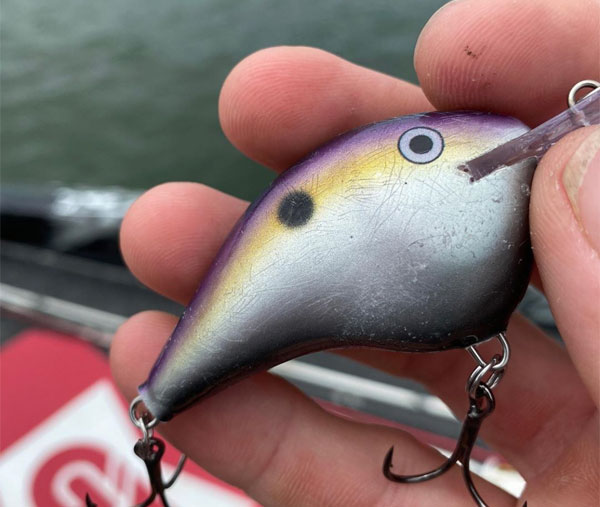 Bass Pro Shops Tourney Special Crankbait Lure Review - $1.99 For A Quality  Lure! 