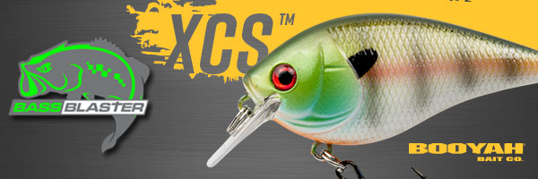 New bass species? Chick Elite baits, Shallow fall tips – BassBlaster