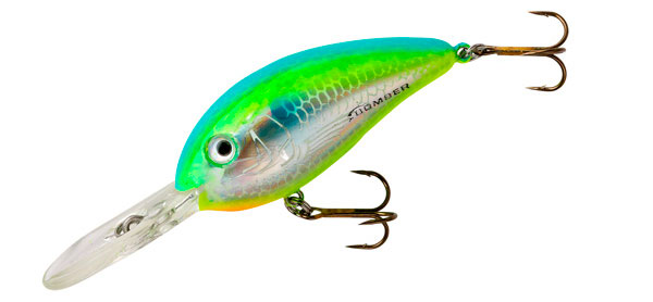 The FEED is on! Fall baits n stuff special issue, part 1 – BassBlaster
