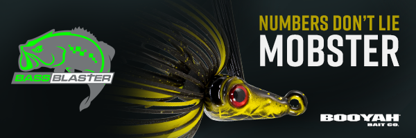 lure you will use when you just want a tight line - The Hull Truth