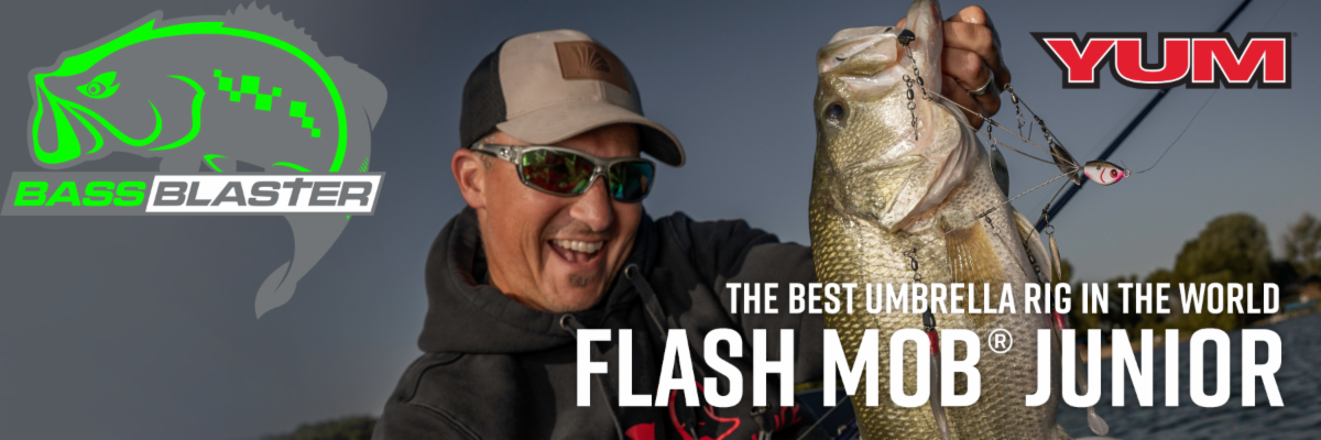 $19.99 for the best deal in fishing. The YUM Scottsboro Flash Mob Junior Kit  has everything to catch fish. The Rig, Yum Scottsboro Swimba