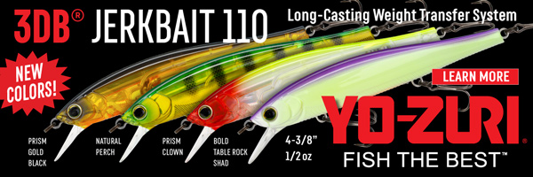 Cold fronts no prob? Cherry jigs now! How to reel slow – BassBlaster