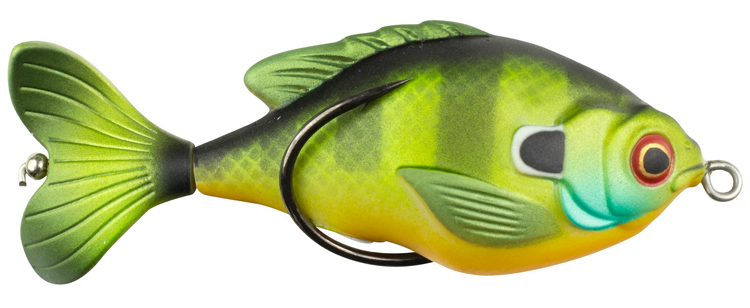 Frog fish on the Alpha Angler Zilla? - Brandon Palaniuk