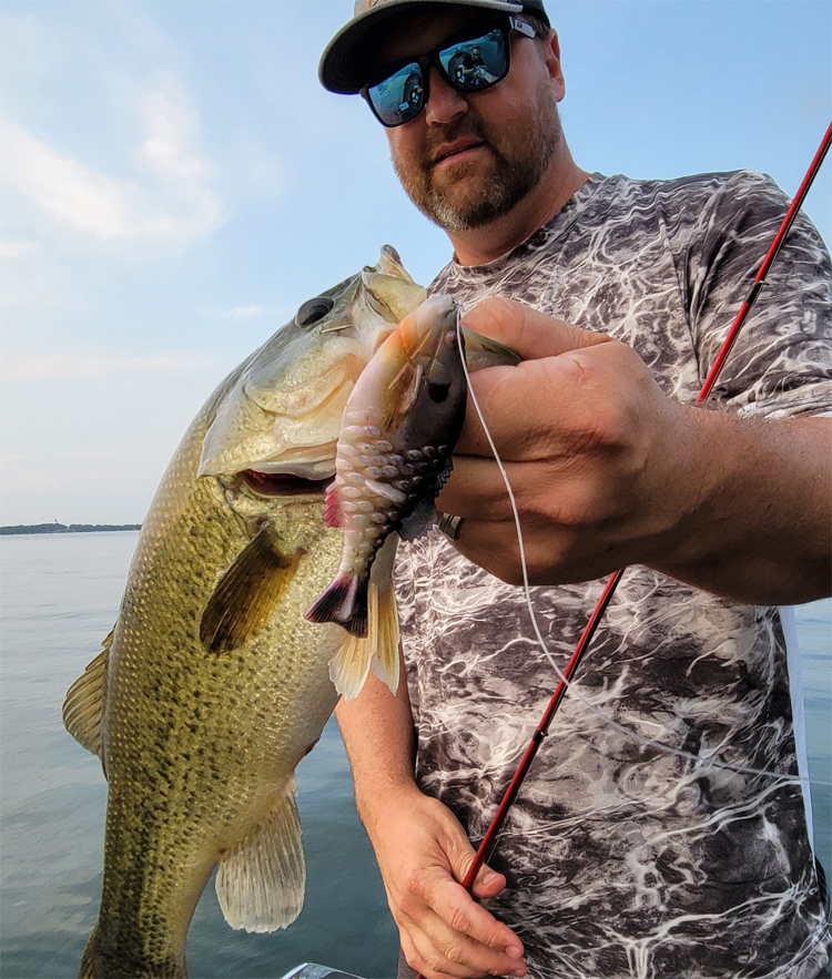 Berkley Fishing - Prepare to get your rod ripped right out of your hands  once bass see the all NEW PowerBait Gilly! Designed by Ike and the Berkley  team, the Gilly features