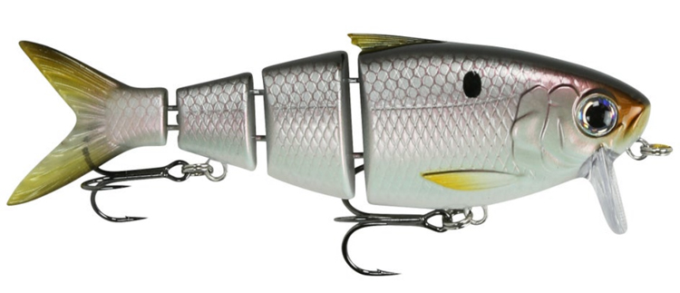 Gambler Lures Scope It Series Introduces First Forward Facing
