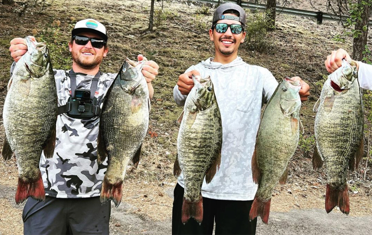 What we know is false? New state smallie record! TX-rigged swimbait? –  BassBlaster
