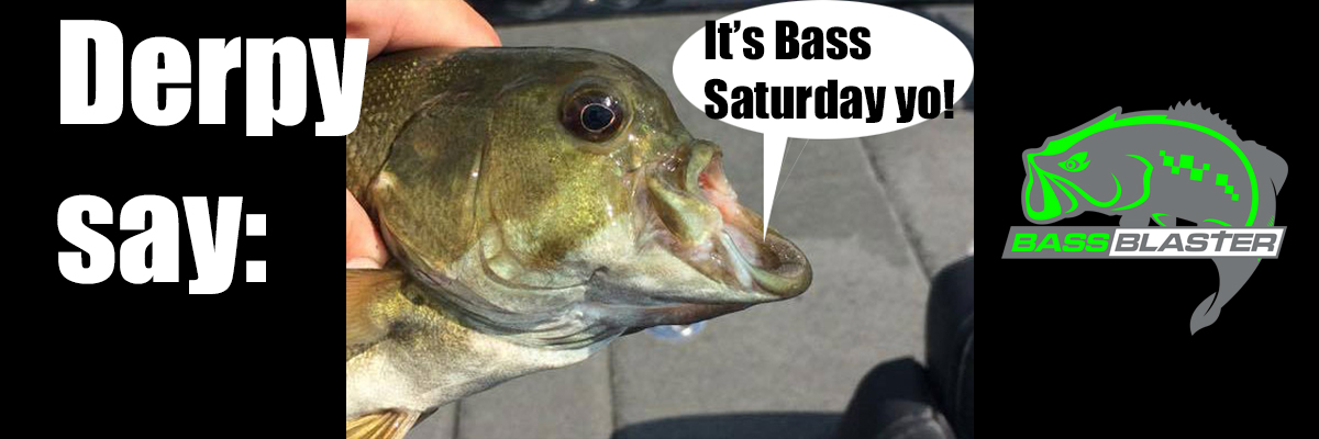 A few Bass Saturday shoppin' ideas for ya! – BassBlaster