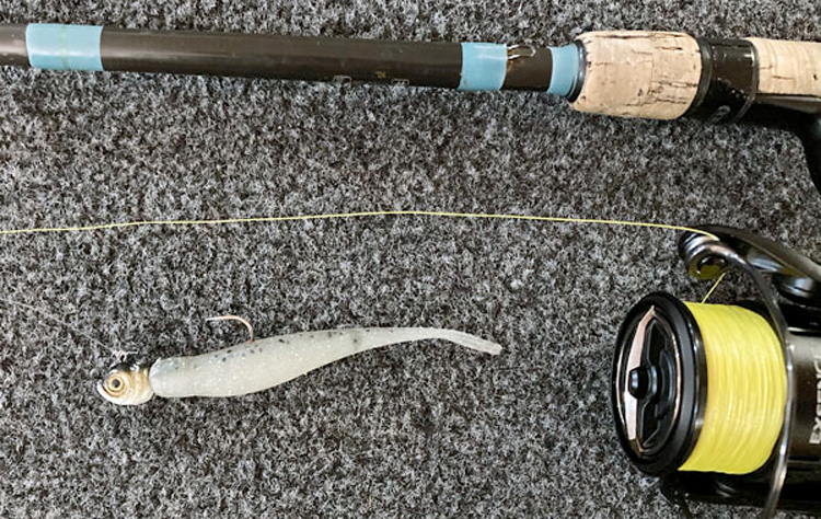 Rainbow Trout MANG - Youth - YM / Pearl Gray