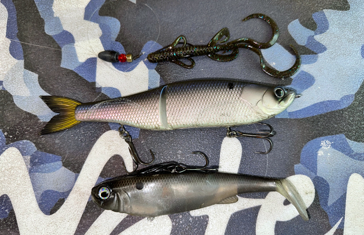 Special plastic worm rig is a bass-catching bit of magic, and not so
