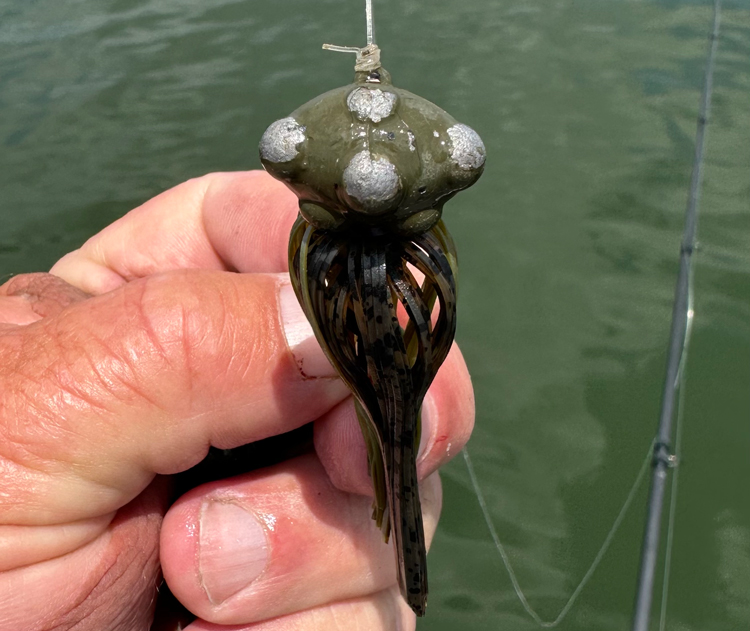 How To Rig Jigheads And Soft Plastics So Fish Bite More Often