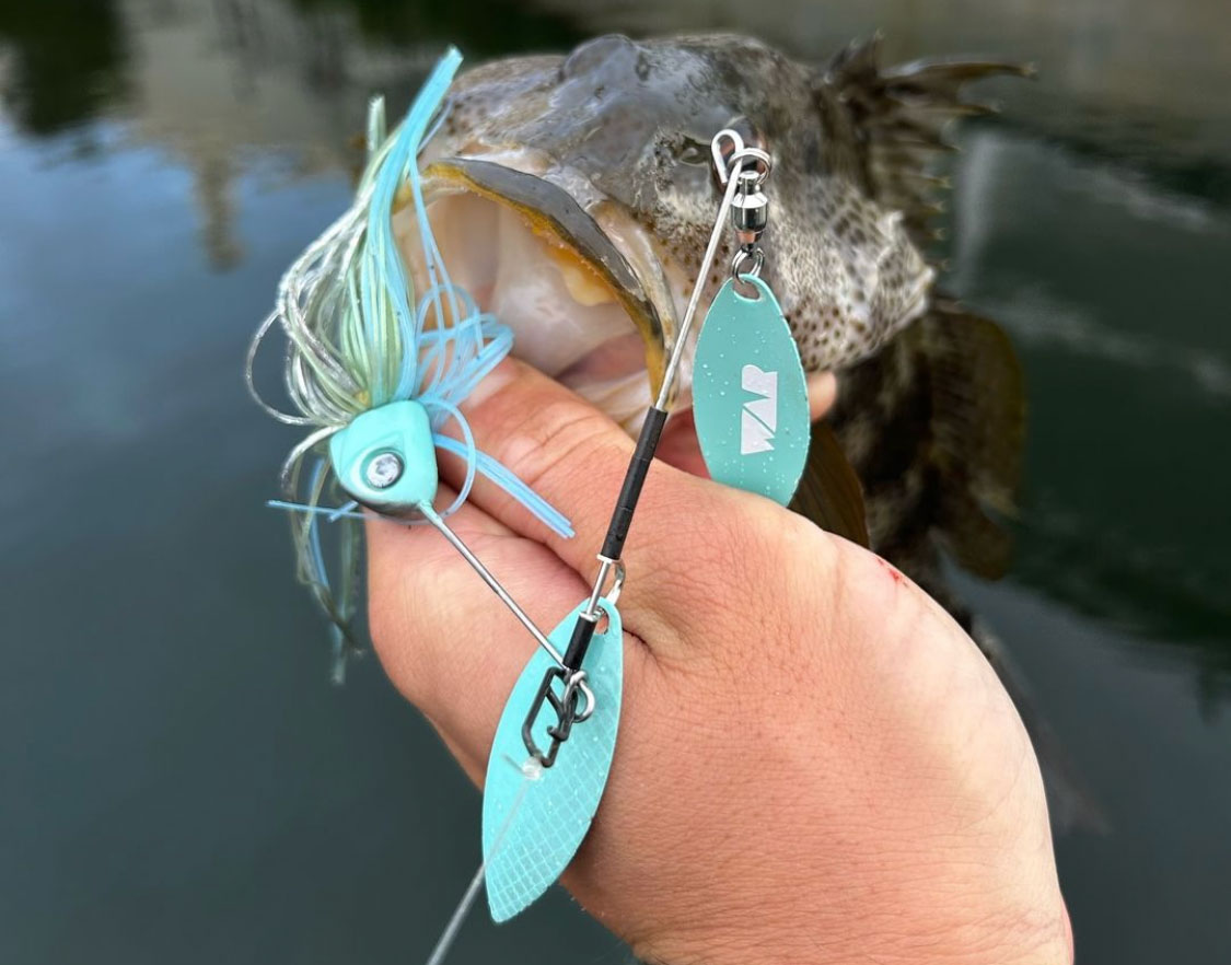 Summer Bass Fishing- Crankbaits And Creatures For Offshore Bass (Matt Loses  a 10 LBER!!!) — Tactical Bassin' - Bass Fishing Blog